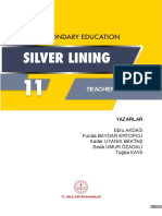 Silver Teacher11