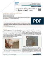 Successful Management of Fungal Mastitis in Goats - A Report of Three Cases