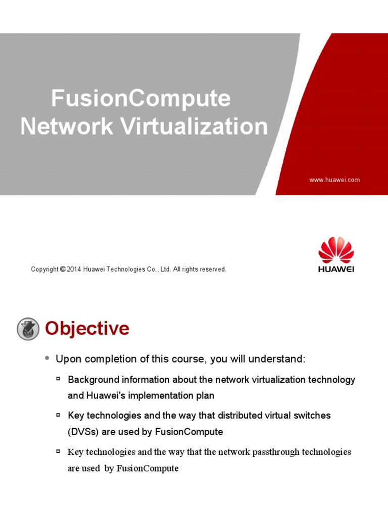 V100R005C00 Network Virtualization PDF Network