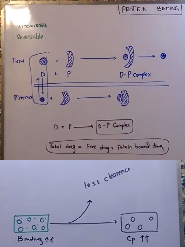 Introduction To Protein Binding | PDF