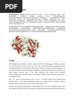 Download Siklooksigenase by Chi Ichie SN54943440 doc pdf