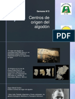 2.centros de Origen y Clasificación de Algodón