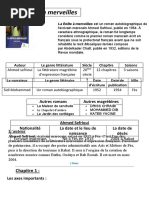 r-sum-des-chapitres-de-la-bo-te-merveilles-pdf