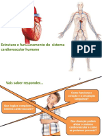 U7 Estrutura Funcionamento Sistema Cardiovascular Humano Final