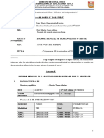 Martin-. Informe Noviembre