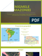 Proiect Geografie 2021