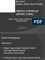 Kuliah ke 2 Anatomi Blok Neurology - Anatomy Systemic of the Central Nervous System 2