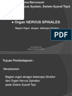 Kuliah Ke 4 Anatomi Blok Neuroscience - Anatomy Systemic of the Peripheral Nervous System 2
