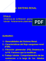 Función Glomérulo-Tubular. Aclaramiento Plasmático (Conf 1)