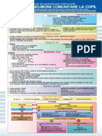 13462-Pneumonii Comunitare La Copil