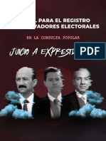 ManualRegistroObservadoresElecotaralesConsulta