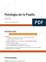 Fisiología de La Pupila