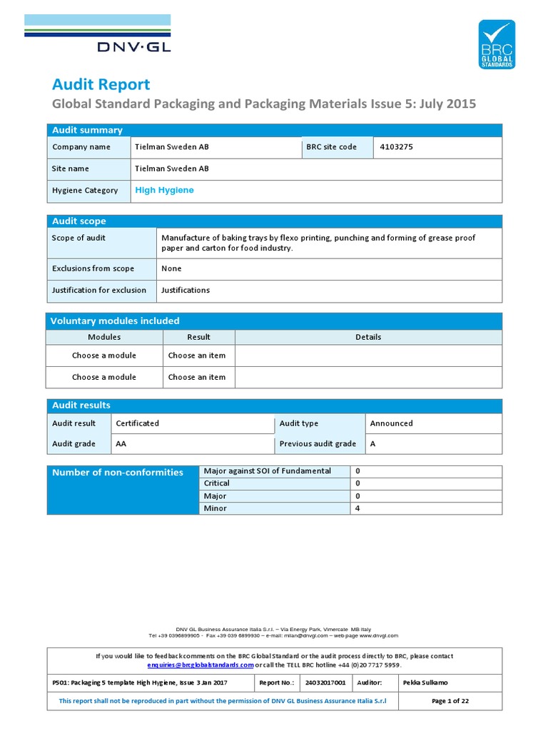 brc-audit-report-pdf-audit-specification-technical-standard