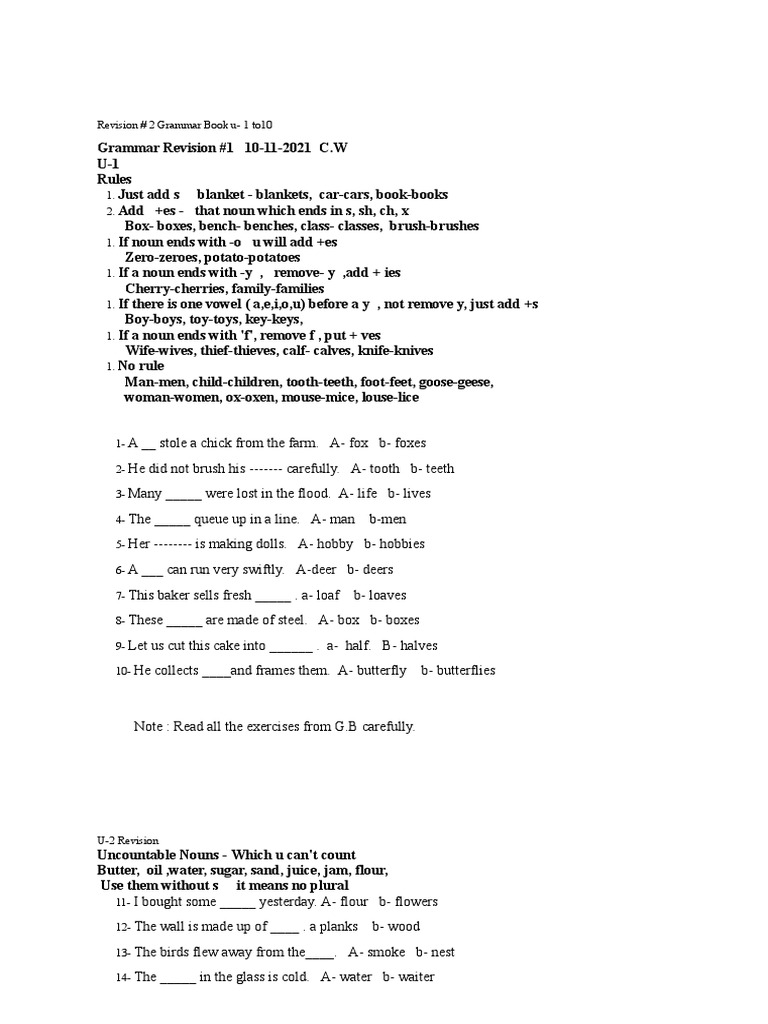 Understanding Noun Forms and Usage | PDF | Verb | Plural