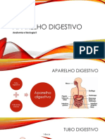 6-Aparelho digestivo