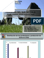 PRADERAS DEL SUR DE CHILE: ¿Dónde estamos