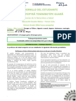 Dengue y Cólera: causas, síntomas y medidas preventivas