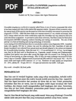 Download 23071724 by Grace Kurmasela SN54947621 doc pdf