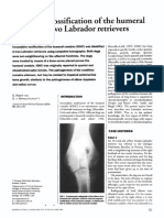 Incomplete Ossification Humeral Condyle in Two Labrador Retrievers