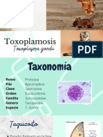  Tripanosomosis, Toxoplasmosis, Tricominiasis