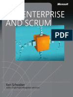 Enterprise Ans Scrum