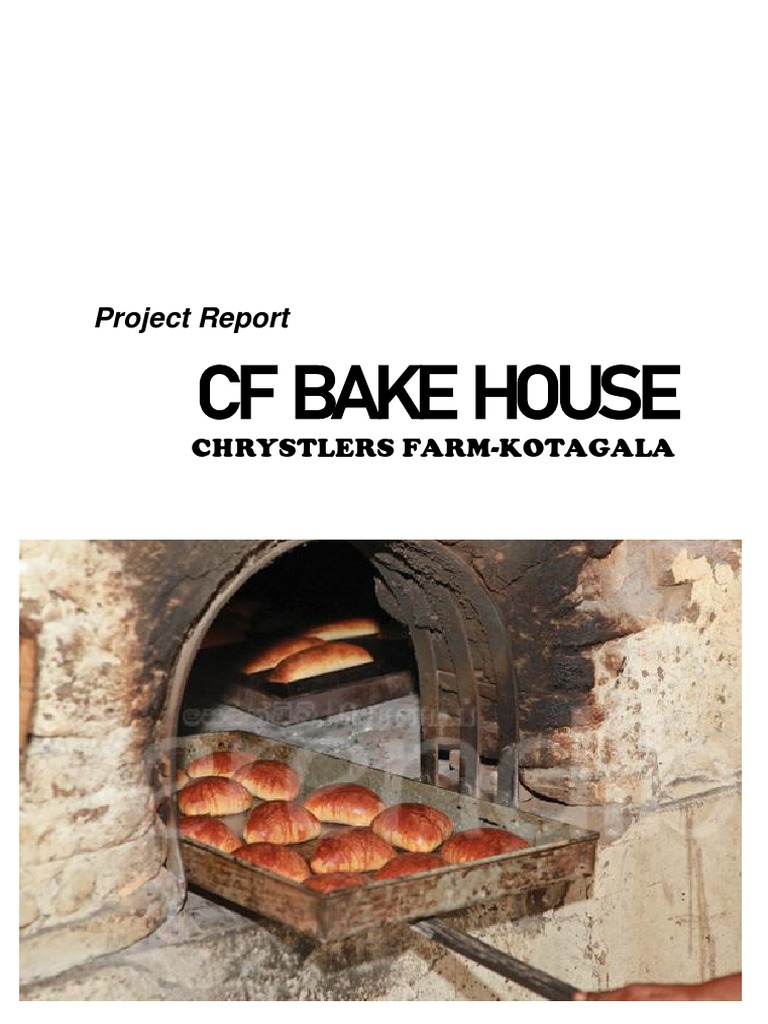 CF Bake House: Project Report | PDF | Depreciation | Balance Sheet