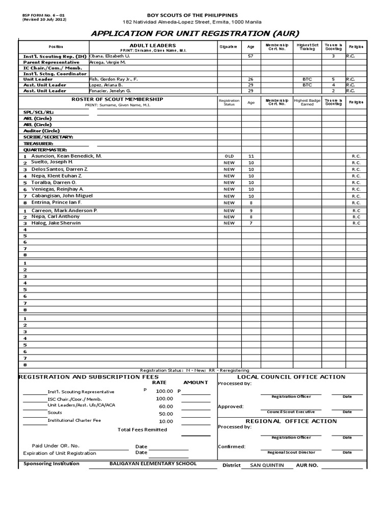 BSP Application for Unit Registration | PDF | Social Movements | Youth