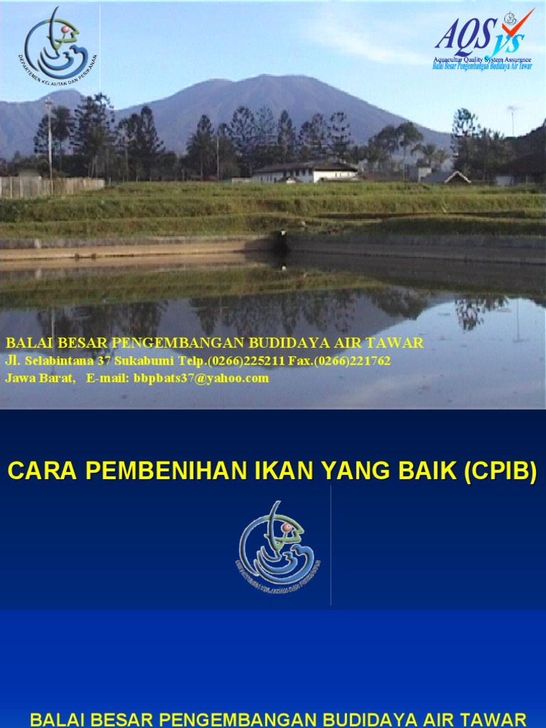 Dokumen - Tech Materi Cpib Adangs | PDF