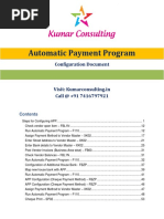 Automatic Payment Program: Configuration Document