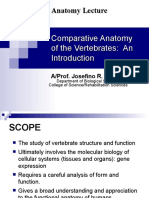 Comparative Anatomy Lecture Series - 1