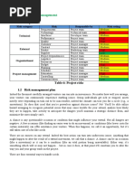 Project Risk Management