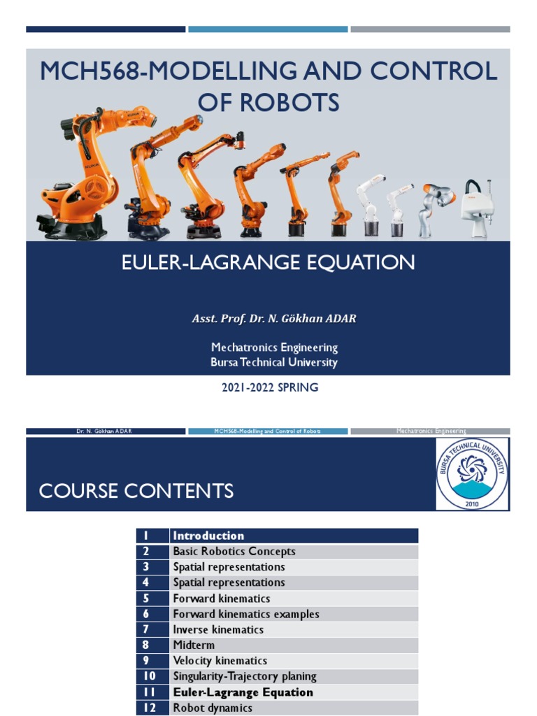11 Euler Lagrange Equation PDF Kinematics Theoretical Physics