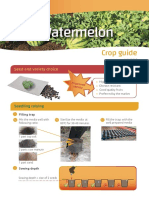 Watermelon: Crop Guide