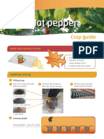 Hot Pepper: Crop Guide