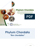 Phylum Chordata: Exploring Our Chordate Hallmarks