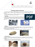 ae_mt7_ativ_desenv_7_p170_Principais_grupos_de_fósseis