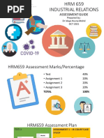 A HRM659 Assessement Guideline