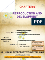 Human Reproductive System - 3