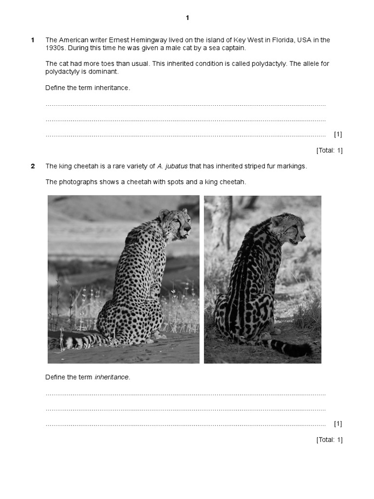 Inheritance | PDF | Genetics | Allele