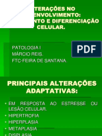 PARTICULARIDADES DA PELAGEM E RESENHA - ppt carregar