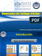 Cartílago articular: estructura y función