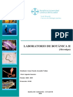 Criptofitos Anatomia Externa Interna y C