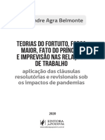 Teorias Do Fortuito, Força Maior, Fato Do Principe e Imprevisão Nas Relações de Trabalho