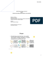 Aula3 Morfologia e Estrutura 21-22