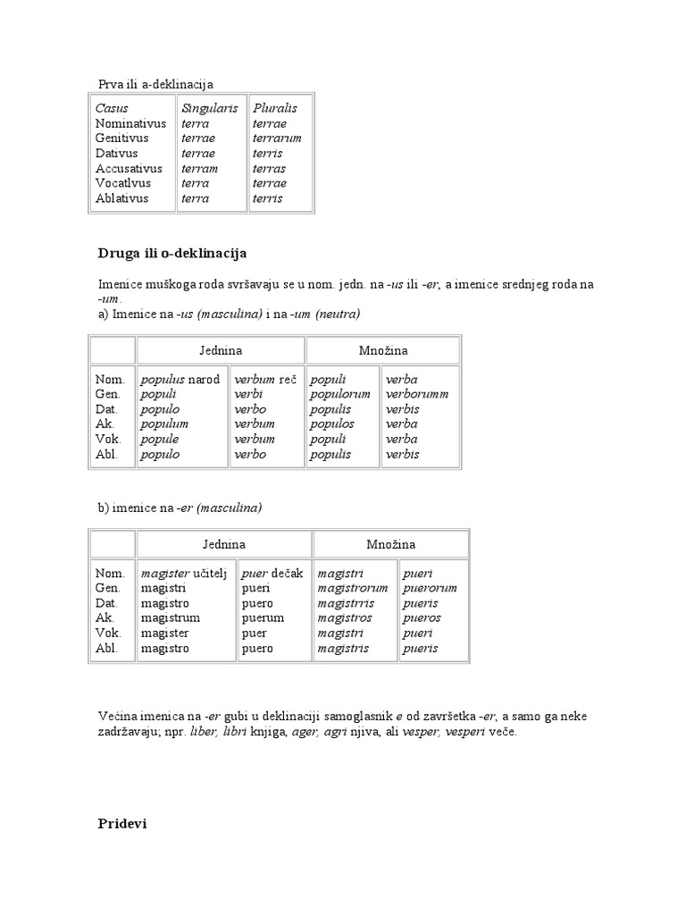 Latin Grammar | PDF