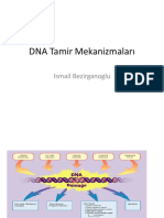 Dna Tamir Mekanizmalar Ismail Bezirganoglu