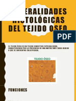 Generalidades Histológicas Del Tejido Oseo
