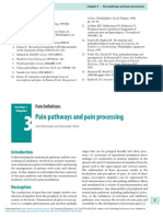 Pain Pathways and Pain Processing