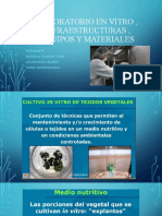 Laboratorio en Vitro, Infraestructuras, Equipos y