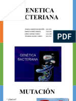 Genetica Bacteriana Exposición